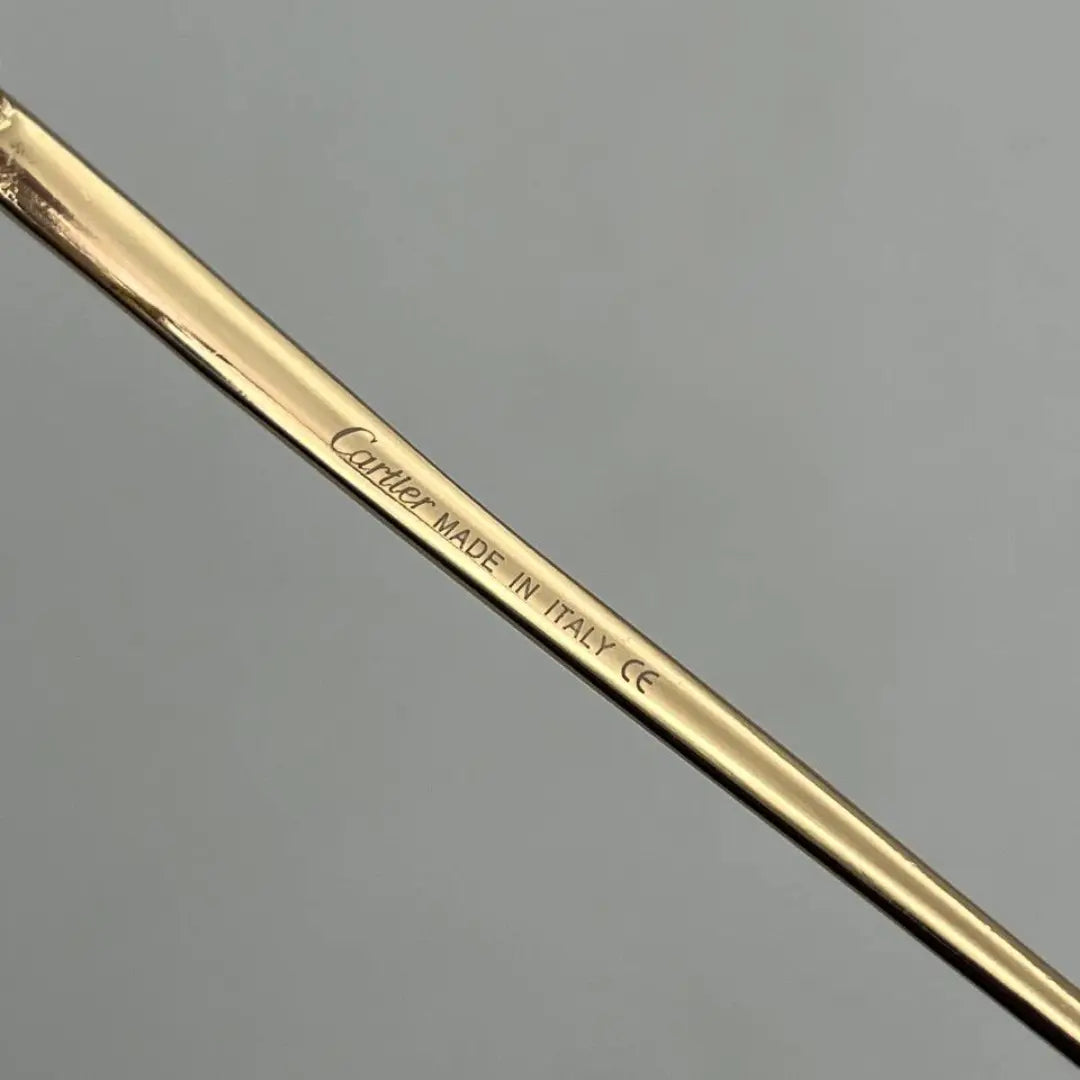 Lunettes Cartier Lion 4 Saisons